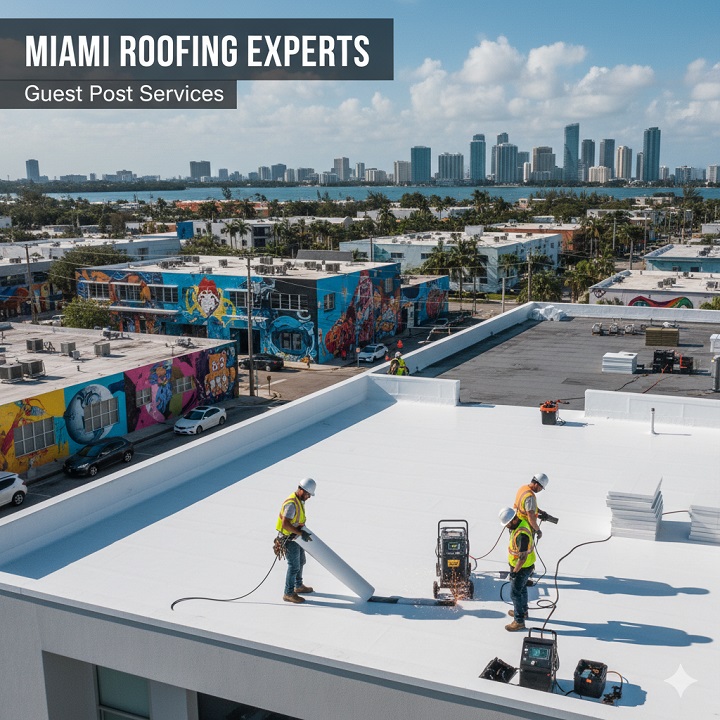 miami seo and miami guest posting niche edit service